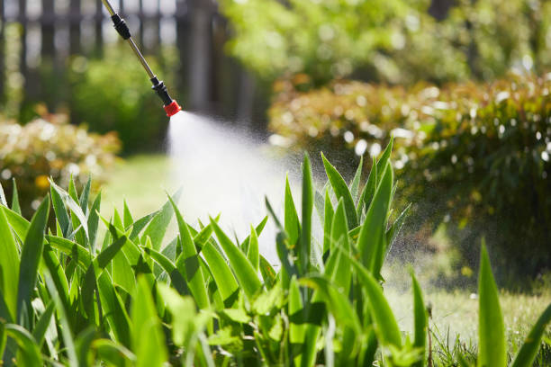 Tamper-Resistant Bait Stations for Rodents in Mulvane