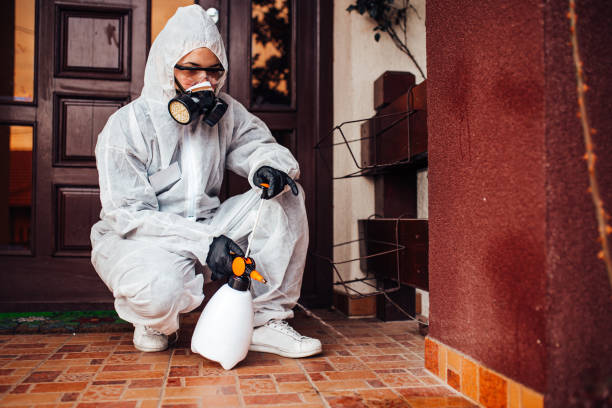 Attic and Crawl Space Rodent Treatment in Mulvane