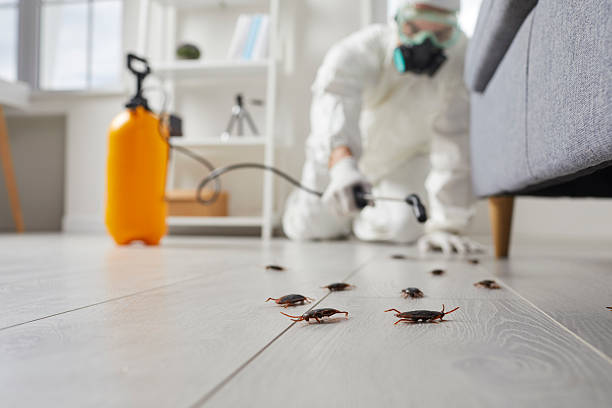 Commercial Rodent Management in Mulvane